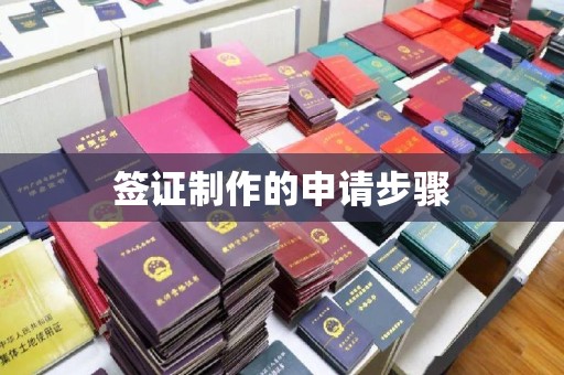徽县签证制作的申请步骤