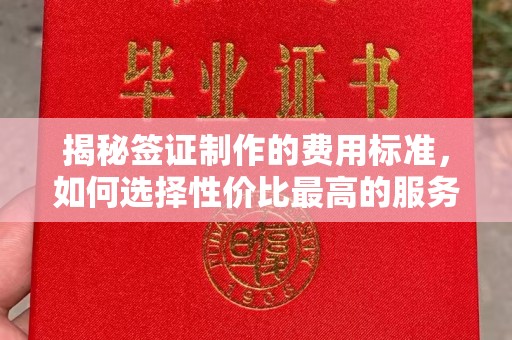 徽县揭秘签证制作的费用标准，如何选择性价比最高的服务？